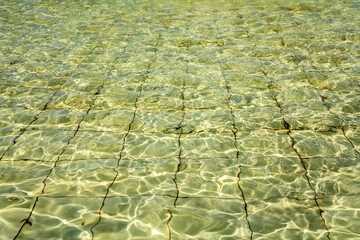  Bottom of a shallow pool is illuminated by the sun