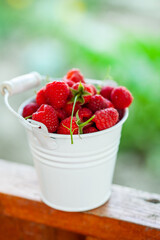 fresh raspberries in basket. Berries in garden. Organic healthy food. Fruits.