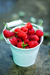 fresh raspberries in basket. Berries in garden. Organic healthy food. Fruits.
