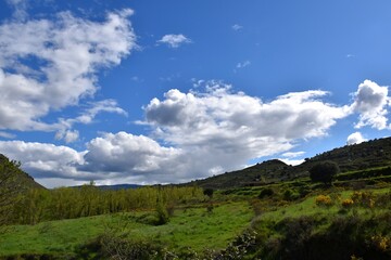 Green meadows with trees, mountains, old corral and blue sky with clouds.