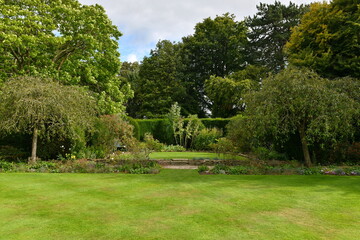 Fototapeta na wymiar grass lawn and trees in a beautiful garden