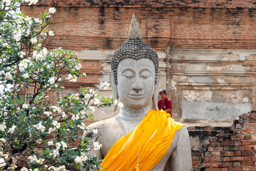 working with Buddha 