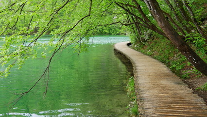 Holzsteg entlang einem See im Nationalüark Plitvicer Seen, Kroatien, Südosteuropa