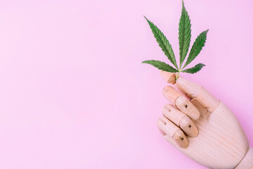 Sprig of cannabis in an artificial wooden hand on a pink background.