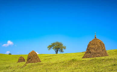 Idylic carpathian summer landscape with blue sky