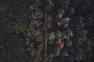 Aerial Morschenicher Wald