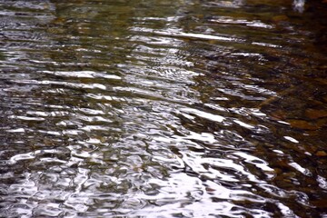 Water ripples in river with light reflection.