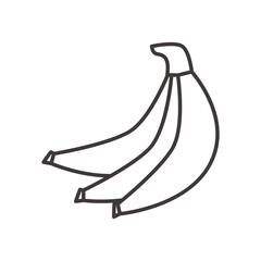 bananas fruit line style icon vector design