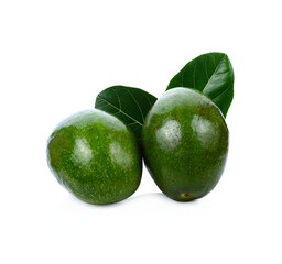 Avocado isolated on a white background