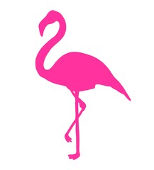 Pink Flamingo