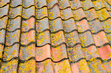 Tile roof