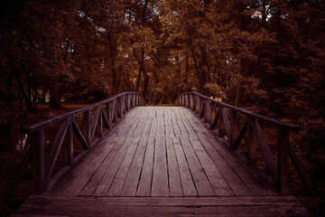 Bridge in forest, public park Vrelo Bosne