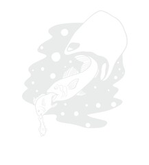 Ocean Plastic Pollution - Fish