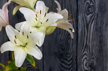 Blooming lilies against the background of pine boards painted in black and white.