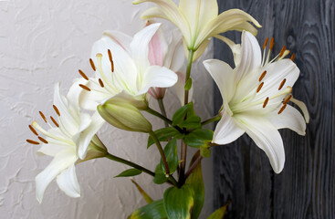 Fototapeta na wymiar Blooming lilies against the background of pine boards painted in black and white.