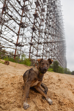 Duga radar system used as part of the Soviet missile defense early-warning radar network