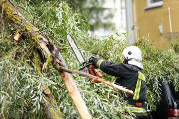 firefighters help clean up the effects of a fallen tree on cars after the storm in a rainy day.