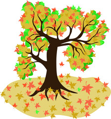 Vector illustration Autumn tree on a white background. Maple sheds foliage. Bright autumn colors, yellow, orange, red leaves.