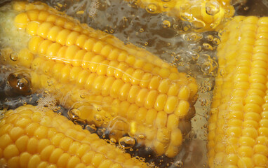 Boiled corn in hot water