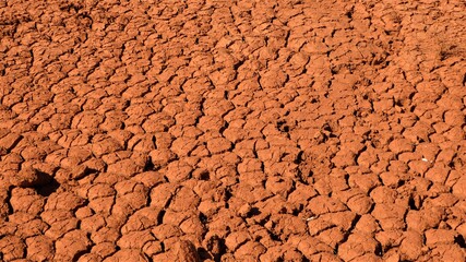 Parched Reddish Desert Mud with Animal Prints
