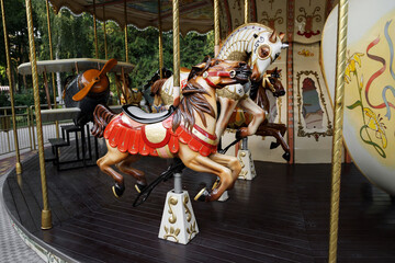 French carousel in amusement park