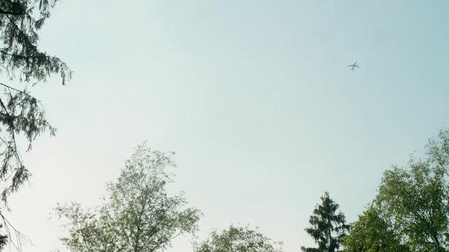 Low angle view of sky and trees of forest and planes flying in sky amon clouds. Sunny summer day in woods.