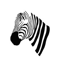 Zebra - Minimal Portrait