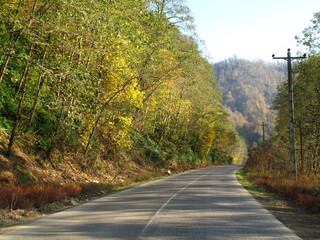 road in autumn