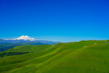 Fototapeta premium Green Meadow Hills Background Elbrus at a Summer Day.