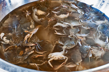 Locals Cooking Crabs in Sihanoukville, Cambodia