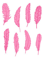 Feather. Hand drawn feathers on isolated white background. Print for textiles, fabrics, polygraphy, posters