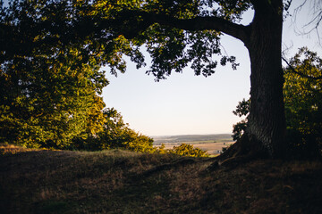 Fototapeta premium view of the taunus at sunset from the celtic plateau on the glauberg