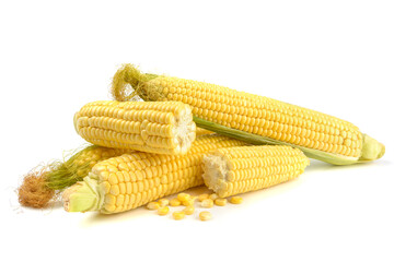 Fresh yellow ears of sweet dessert corn on a white background, close-up.horizontal view