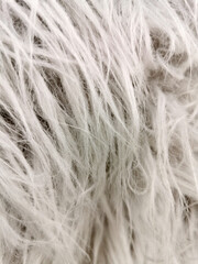 white artificial fur texture for background and winter decoration, cozy sweet home decor selective focus, noisy filter, blurred background