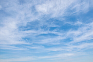 Fluffy white clouds float across the blue sky on a clear sunny summer or spring day. Empty space for inscriptions, form. Cyan or teal 
background sky. Low angle view