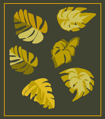 Set of autumn leaves.Autumn. September. October. November. Yellow leaves. Monstera. Isolated objects.