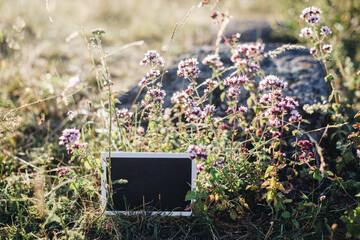 a blackboard on a meadow with wild marjoram, also called real dost (Origanum vulgare)