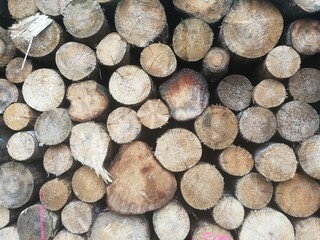 stack of wood