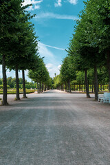 Die Aussicht des Parks im Schloß Schwetzingen