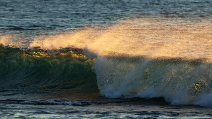 Rolling ocean wave with white spray off the crest. It is backlit by the sun at sunrise