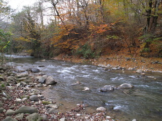river in autumn