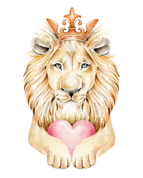 Lion watercolor illustration. Realistic lion with crown and heart.Lion head isolated on white background. Template. Close-up. Clip art. Print. Logo.