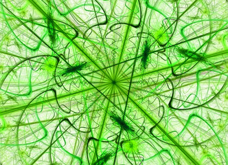 abstract background with fractal lines and geometric forms