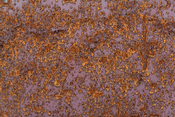 Iron sheet with corrosion. Old metal surface close up.