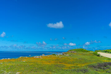 沖縄　宮古島、東平安名崎の風景