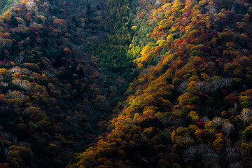 山麓を彩る紅葉
