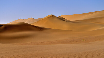Fototapeta na wymiar The formation of sand dune by wind in Gobi Desert