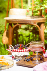 Fototapeta na wymiar Outdoor summer lifestyle with a gourmet picnic laid out in a garden with berries, pie and pink drink in stylish glasses