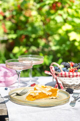 Outdoor summer lifestyle with a gourmet picnic laid out in a garden with berries, pie and pink drink in stylish glasses