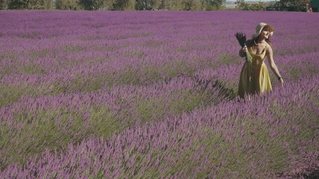Woman walking accross a lavender field smelling flowers